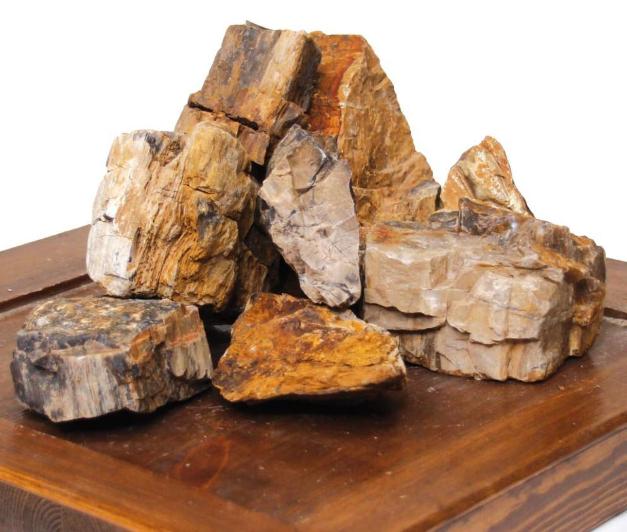 Petrified rock, aquarium decoration, natural, non-limestone ( per K)